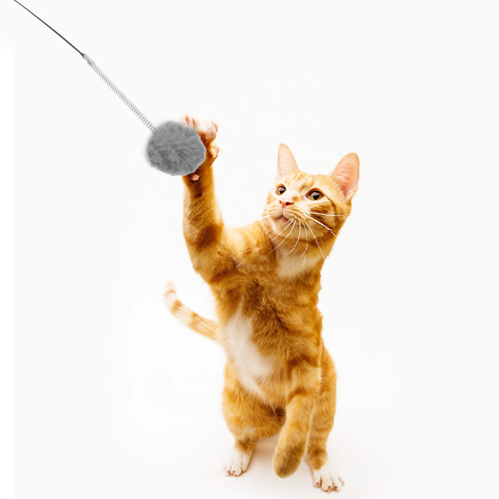 

6pcs Cat Ball For Indoor Cats Chasing Playing Assorted Colors Dangle Hanging Teaser Exercise Fun Pet