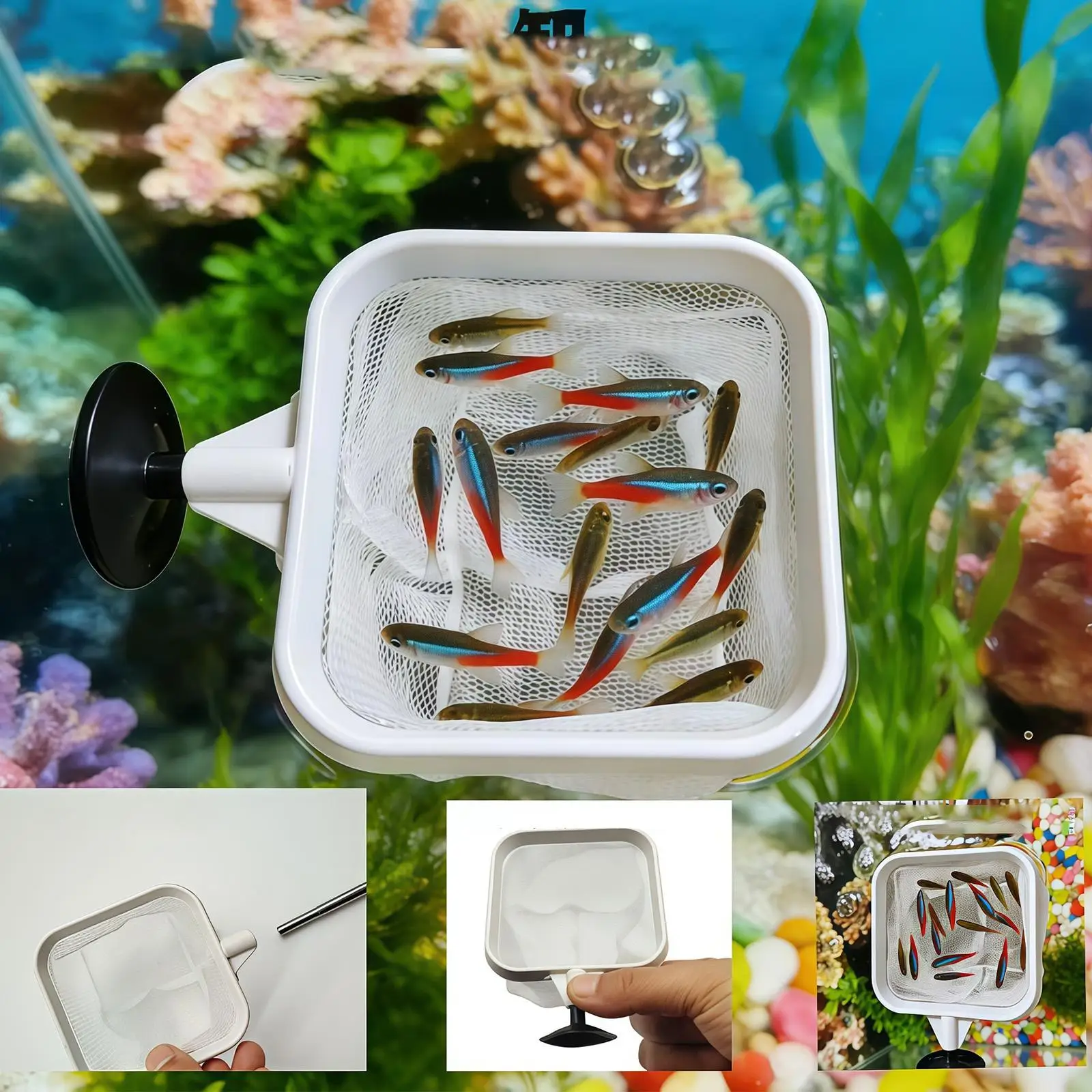 Uzatılabilir Uzun Saplı İnce Ö - Aquarium Fish Long incelemesi ve fiyatı