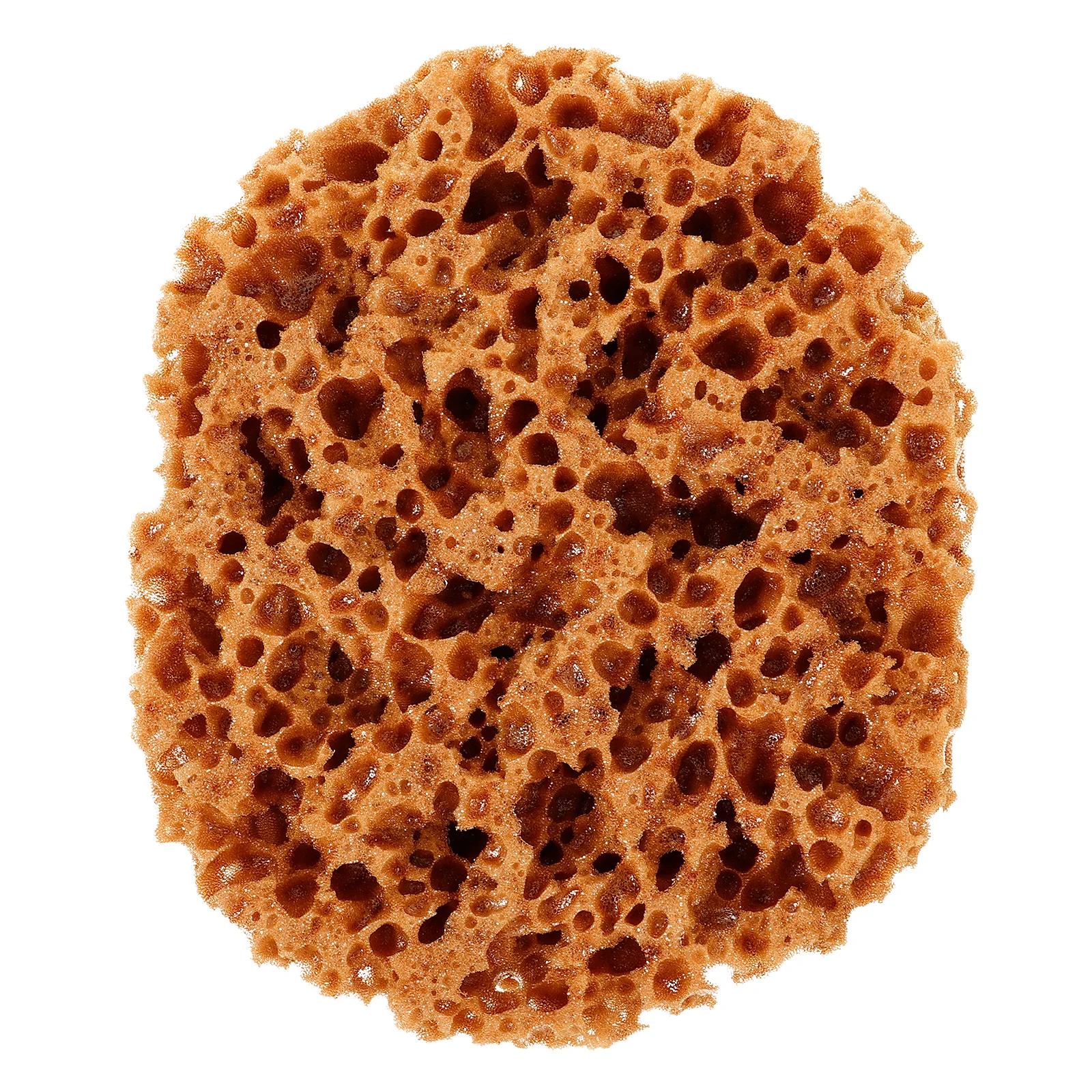 

Seaweed Sponge Tool Natural for Painting Light Brown Drywall Texture Supplies Versatile Paint Sponges Walls Furniture Sea