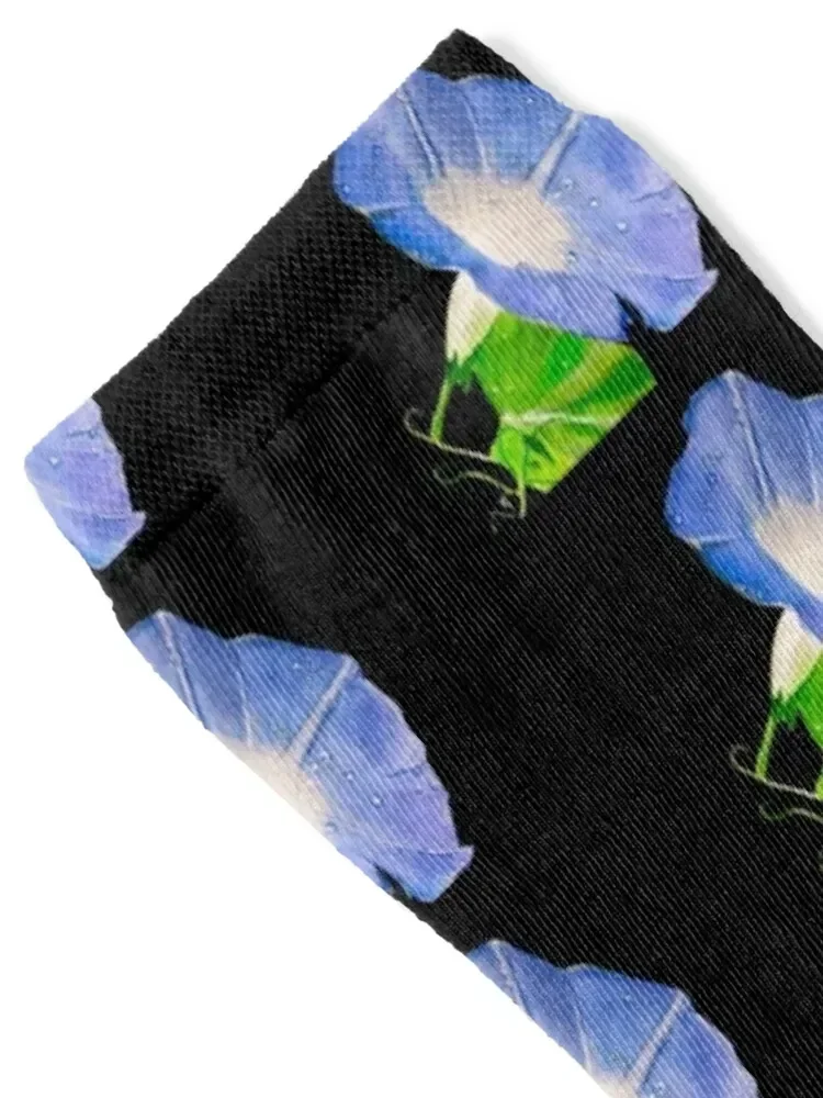 Morning Glory Socks japanese fashion Stockings Toe sports Boy Socks Women's