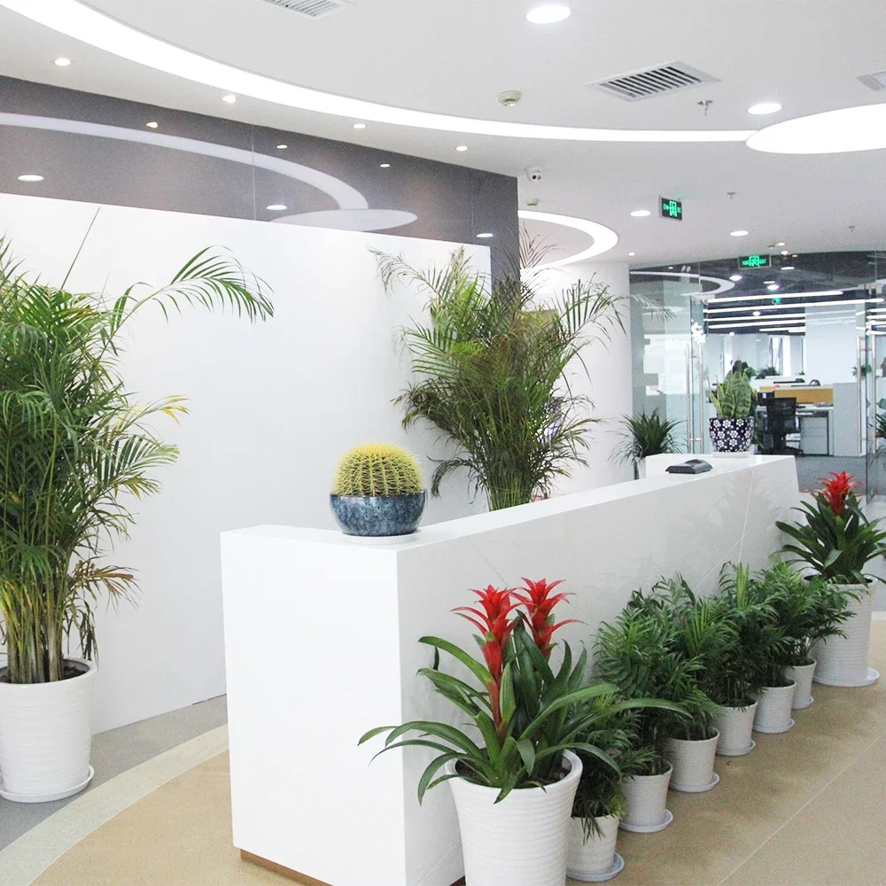 

Factory Directly Sell Luxury Solid Wooden Office Furniture Reception Table Front Counter Green Material For Company Hotel