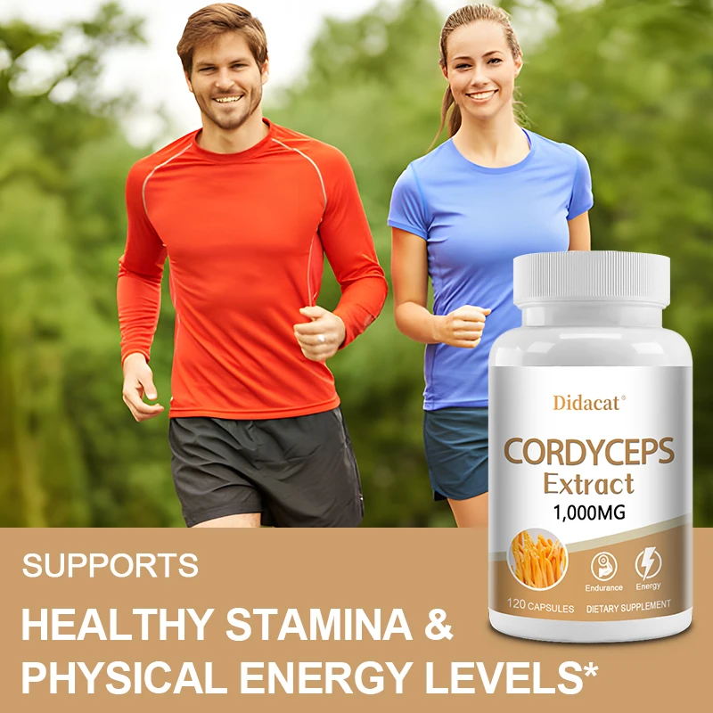 Cápsulas de Cordyceps: 1000 mg, aumentan la energía y la resistencia, mejoran la memoria y la concentración y resistir el estrés
