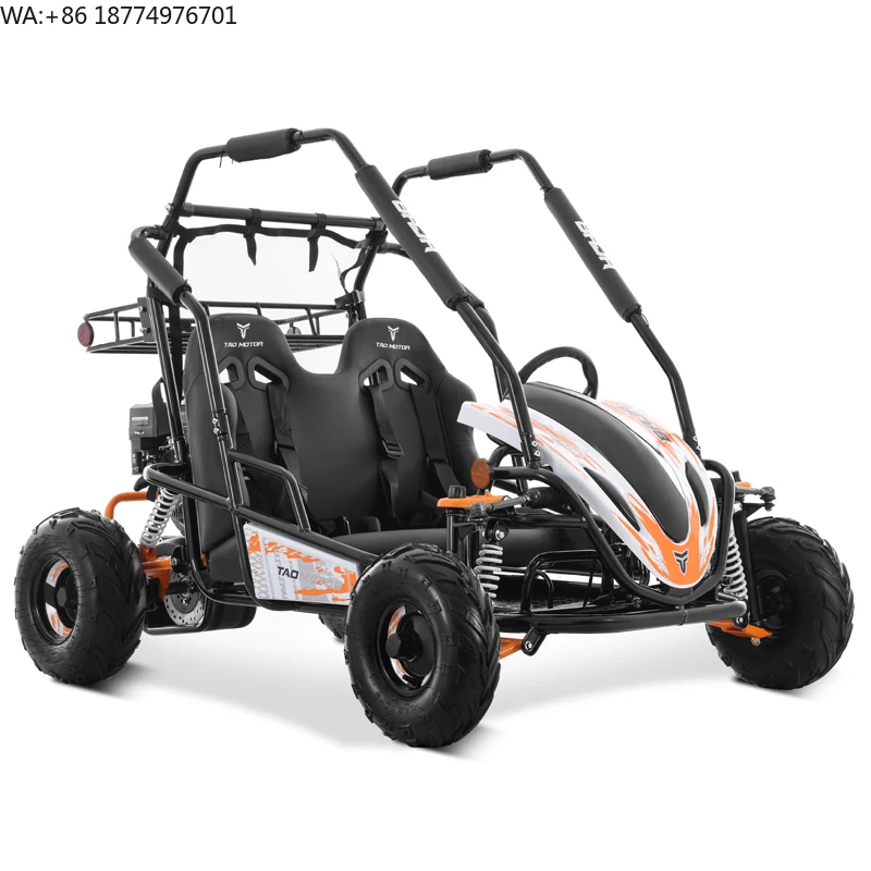 Tao Motor 2025 Nuovo Go-Kart Fuoristrada per Adulti con Telaio in Acciaio 200cc