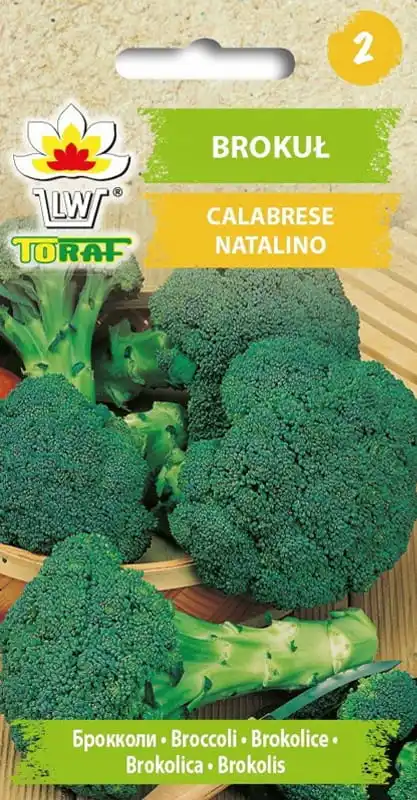 Calabrese Natalino broccoli 1G TORAF vegetable broccoli seeds