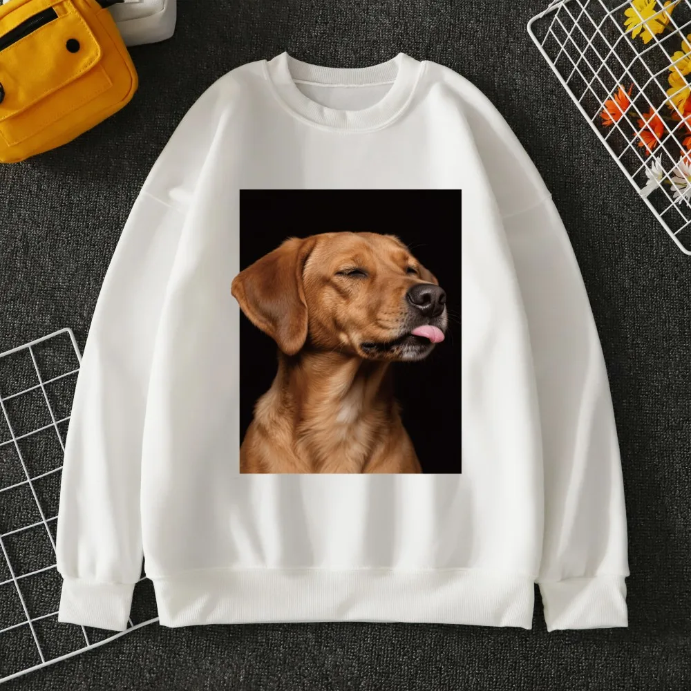 

A Golden Retriever With A Tongue Out Design Men Sweatshirt Hip Hop Fashions Sportswear Crewneck Soft Pullovers Casual Loose Tops