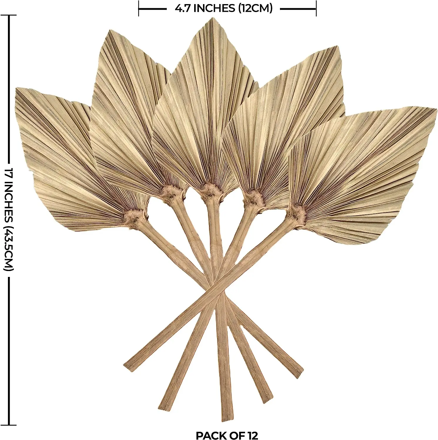 Dried Palm Leaves Decoration Boho Palm Fans Dried Palm Spear Tropical Palm Wedding Home Artificial Plants for Decor