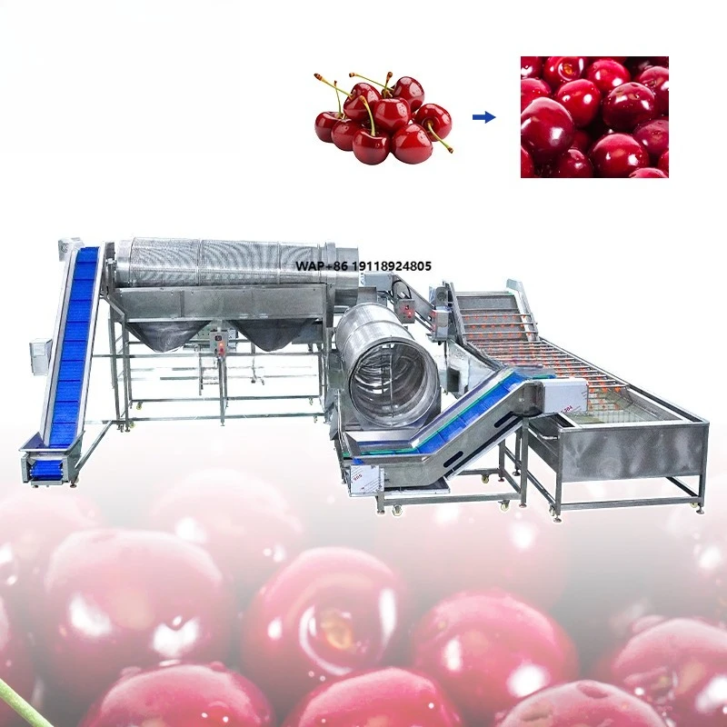 

Continuous Berry Destemming System with Bubble Washing Machine Removes Stems Dirt Leaves