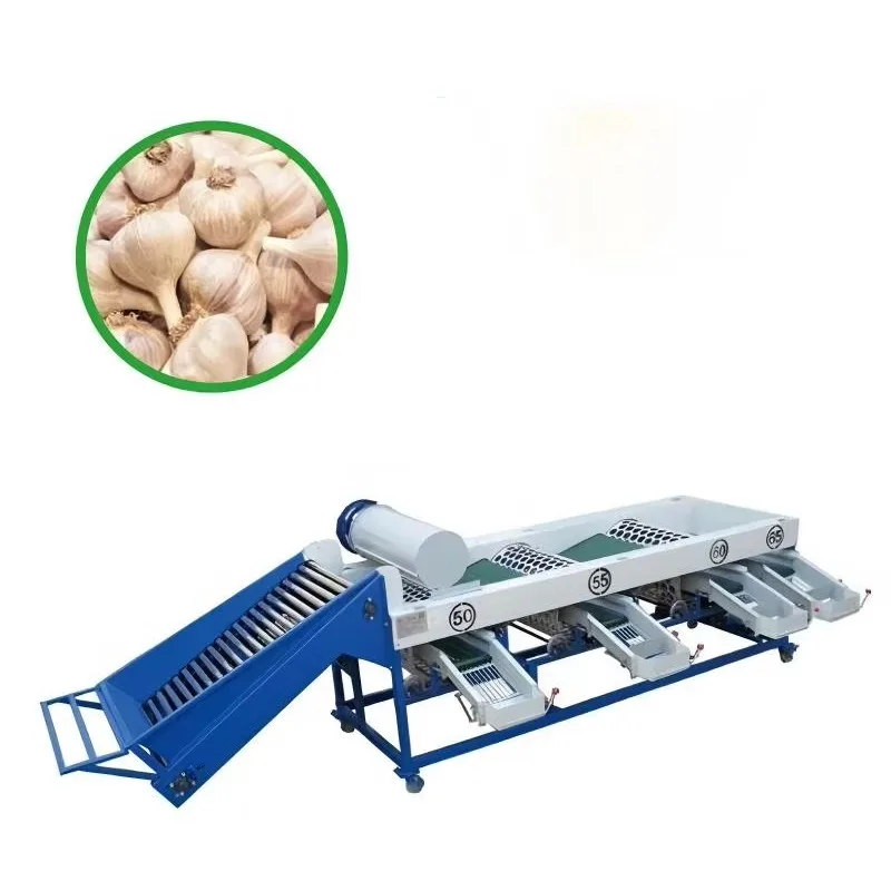 Lemon Sorter Machine Size Sorting Separator Machine for Citrus Grading and Industrial Vegetable Processing