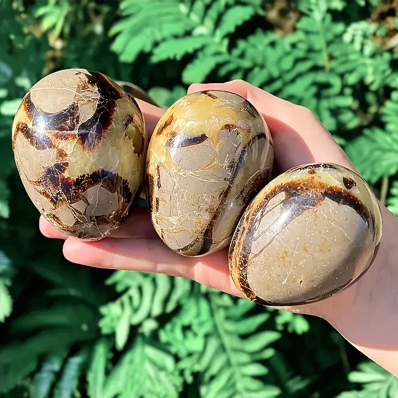 1PC Unique Septarium Egg,Natural Crystal Egg, Septarian Freeform, Large Polished Septarian Standing Cut Base Free Form