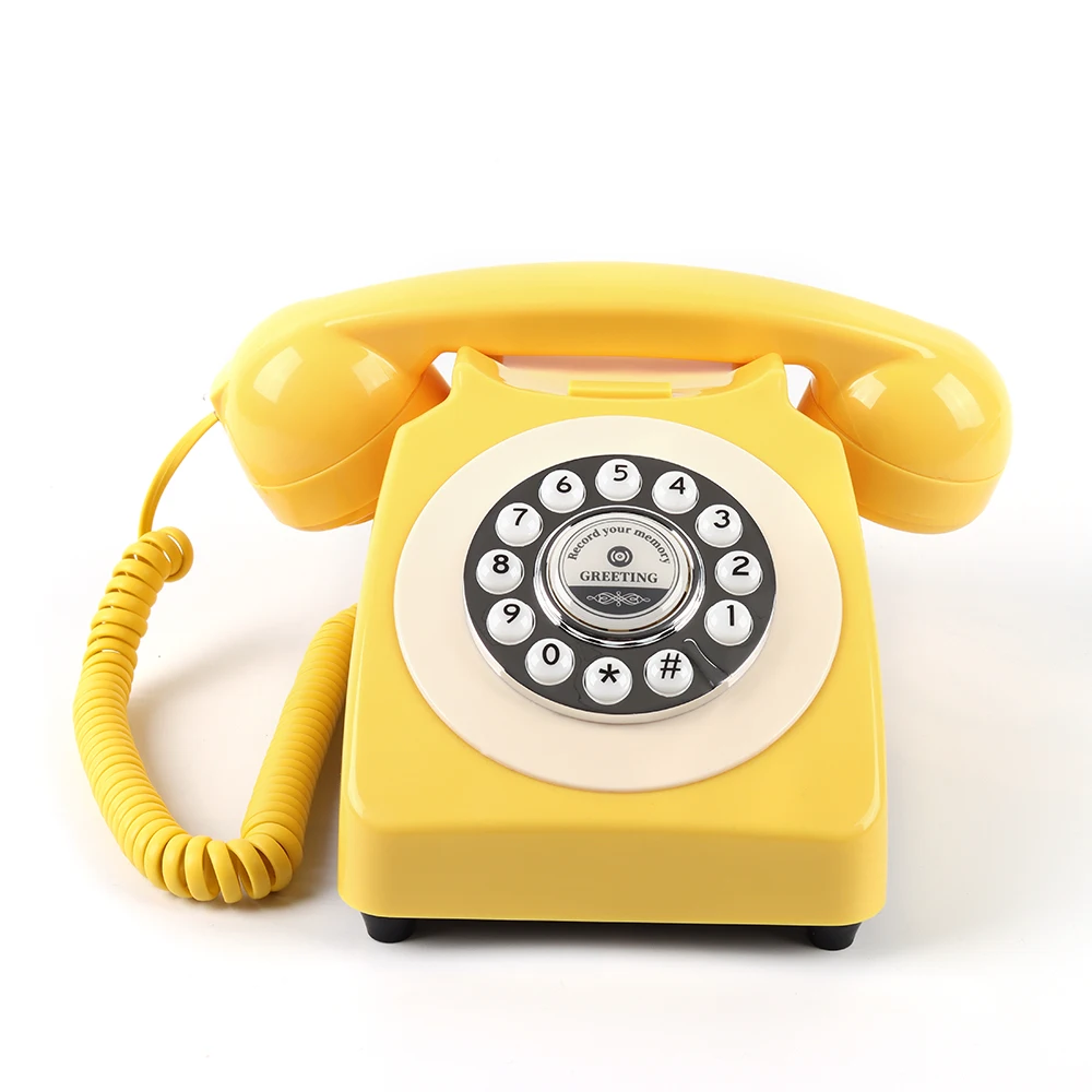 CHEETA Grünes Antik-Audio-Gästebuch Maßgefertigte Großhandels-Hochzeitsdekoration Telefonnachrichtenaufzeichnung Geständnis-Voicemail 3