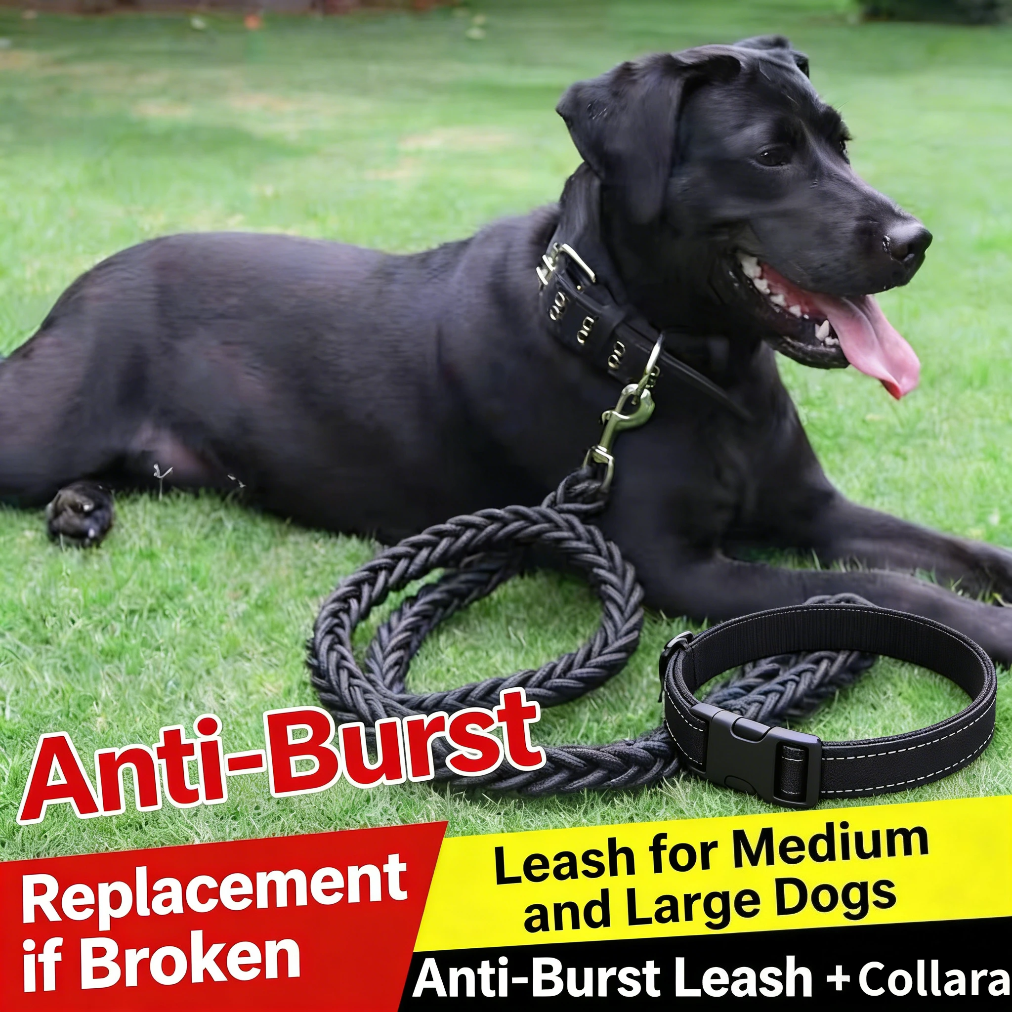 

Dog rope Anti-drop leash Dog chain Large dog Medium large dog Pet Golden Retriever Neck ring Walking Labrador dog