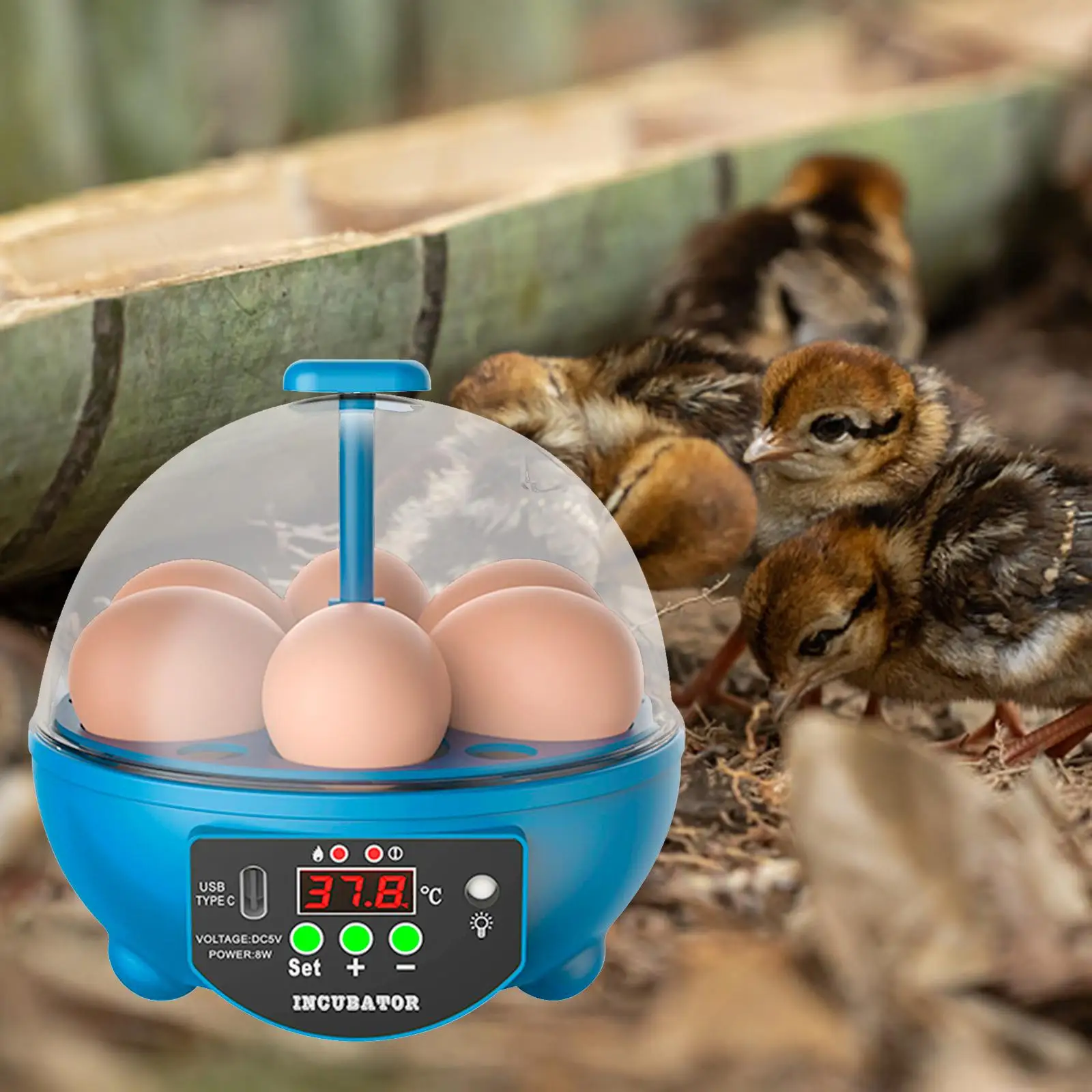 6 Eggs Incubator Temperature Control with Light Manual Egg Turner Chicken