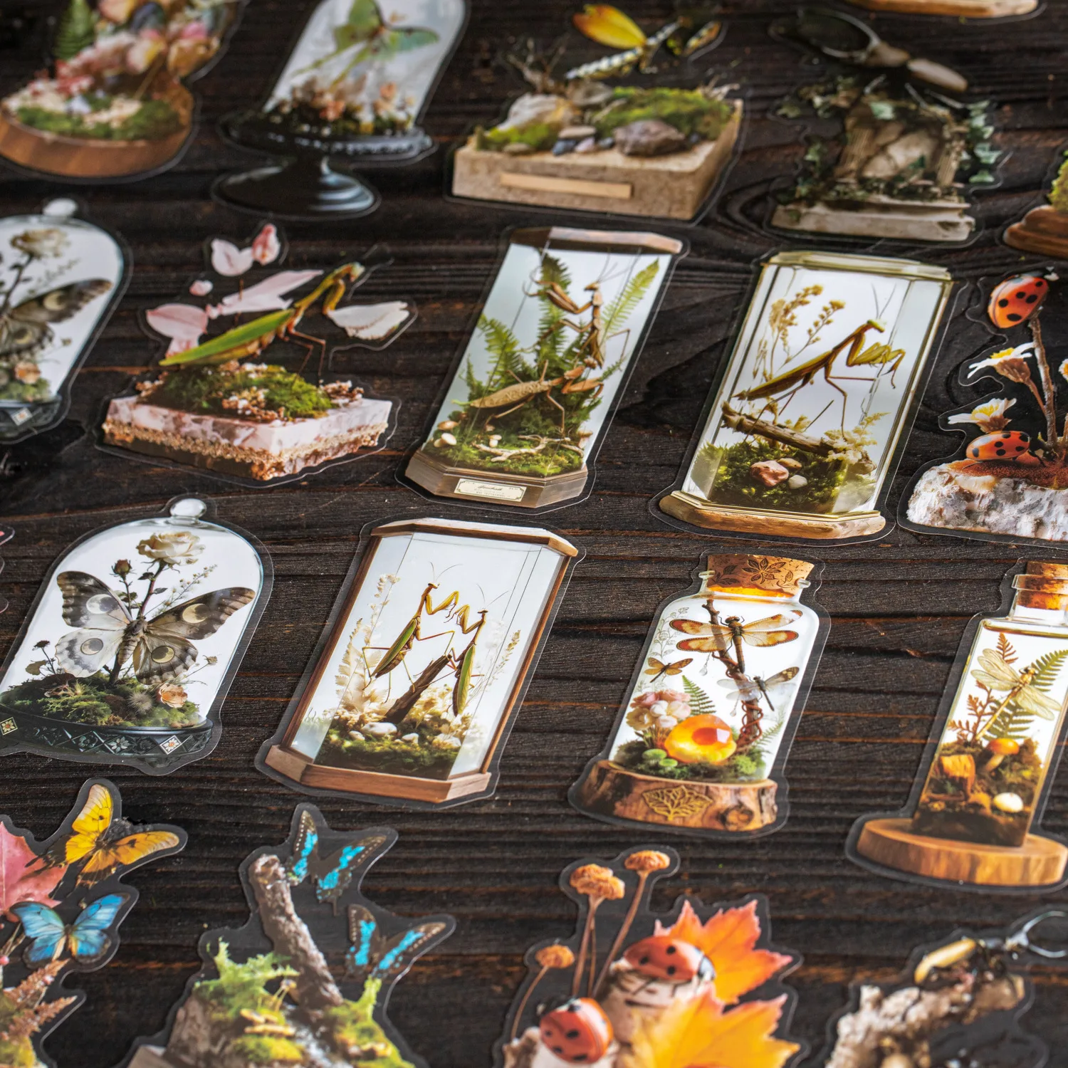24sets/1lot kawaii Stationery Sticker Insect ecological specimens junk journal Decorative Scrapbooking DIY Craft Sticker