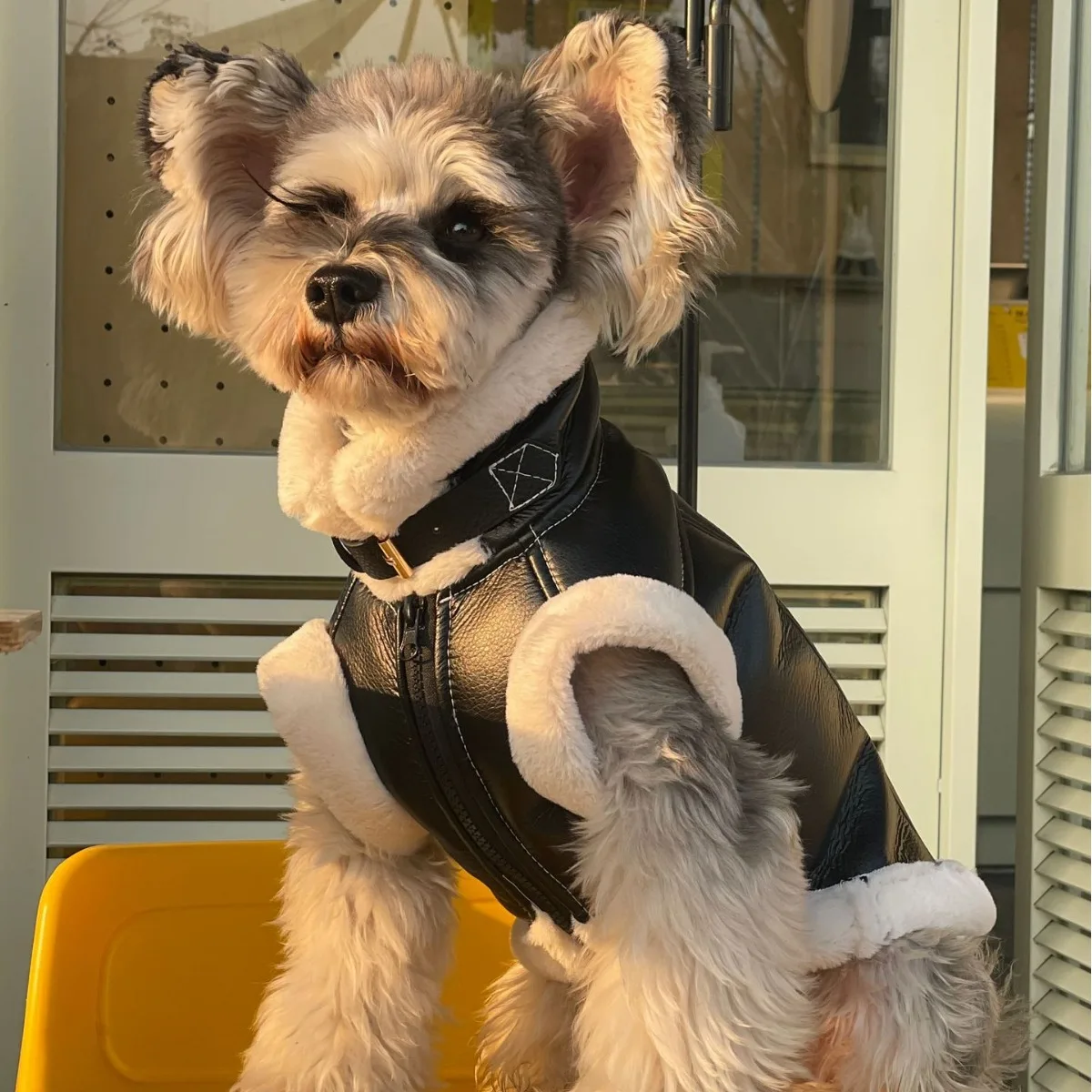 Dog Clothes Winter Teddy Schnauzer Pomeranian Bichon Maltese Yorkshire Thickened Sleeveless Warm Jacket Coat for Dogs