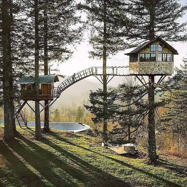 Tree  and wooden house