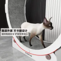 Cat treadmill does not clip the foot roller ring, pet cat sports fitness, small anti-card foot running wheel is silent