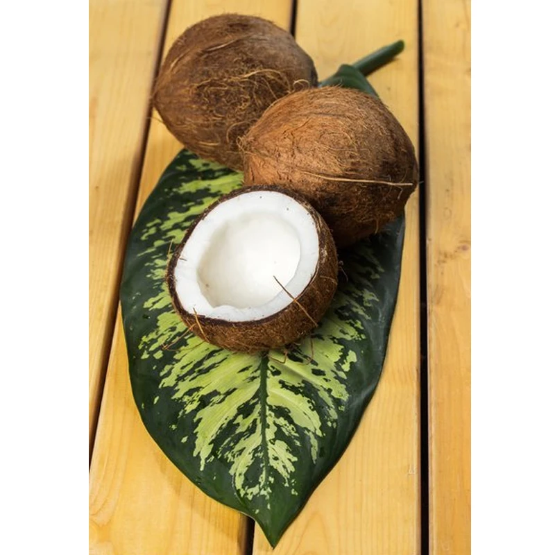 Electric Coconut Deskinner Efficient Coconut Peeling Machine for High Volume Processing