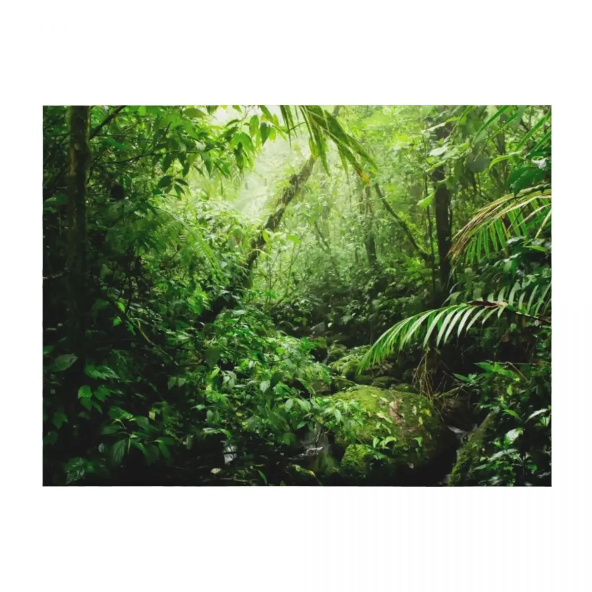 

Warm Glow Rainforest Creek Throw Blanket Flannels Heavy Custom Quilt Blankets