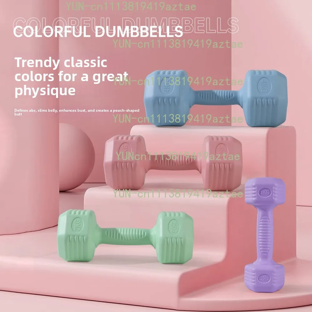 Fitness Dumbbells for Men And Women Home Gym Equipment Strength Training Slimming Tools 2kg 3kg Pair Youth Sports Supplies