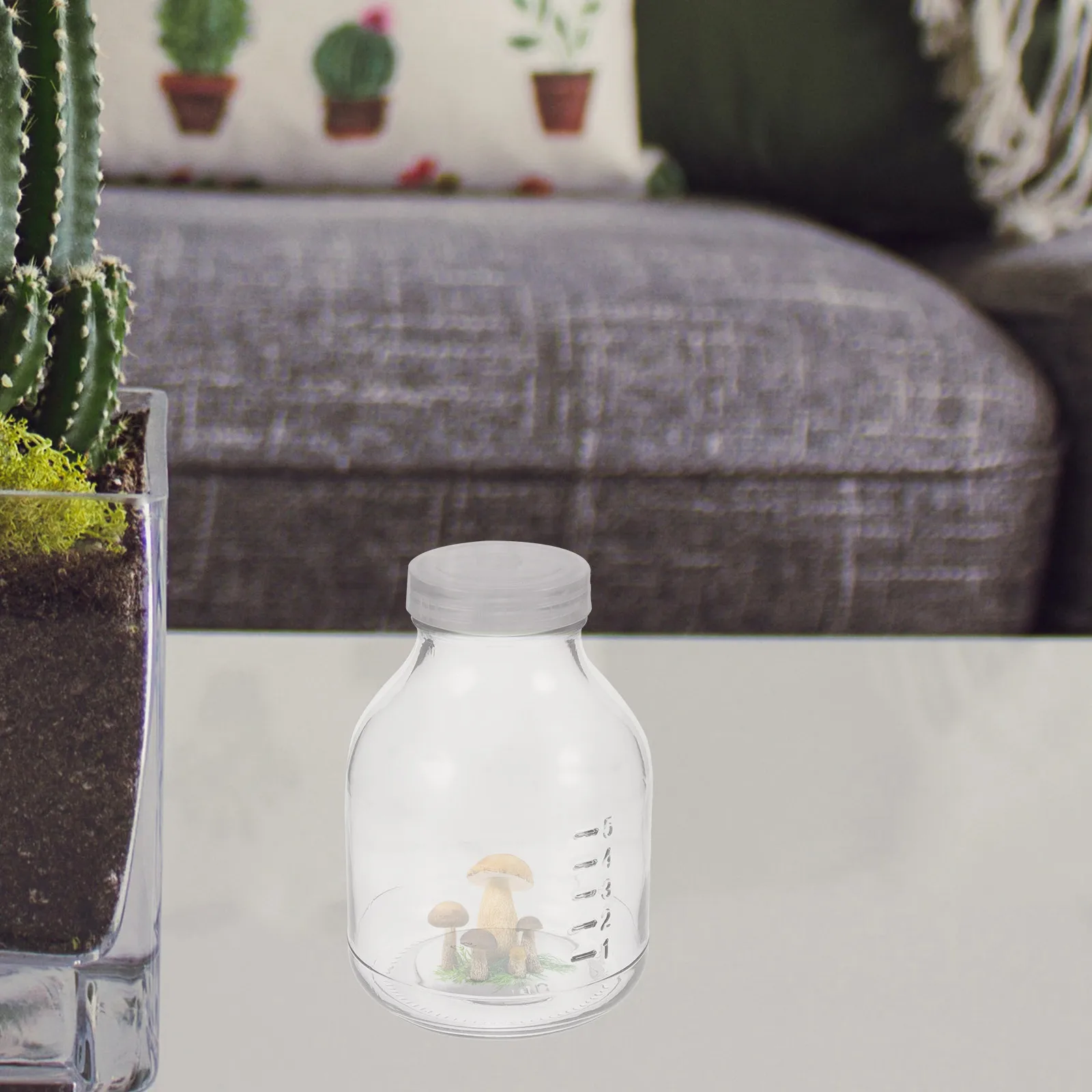 

3 Pcs Sprouting Kit Growing Container Plants Mushroom Supplies Bottle Growth Planting Jar