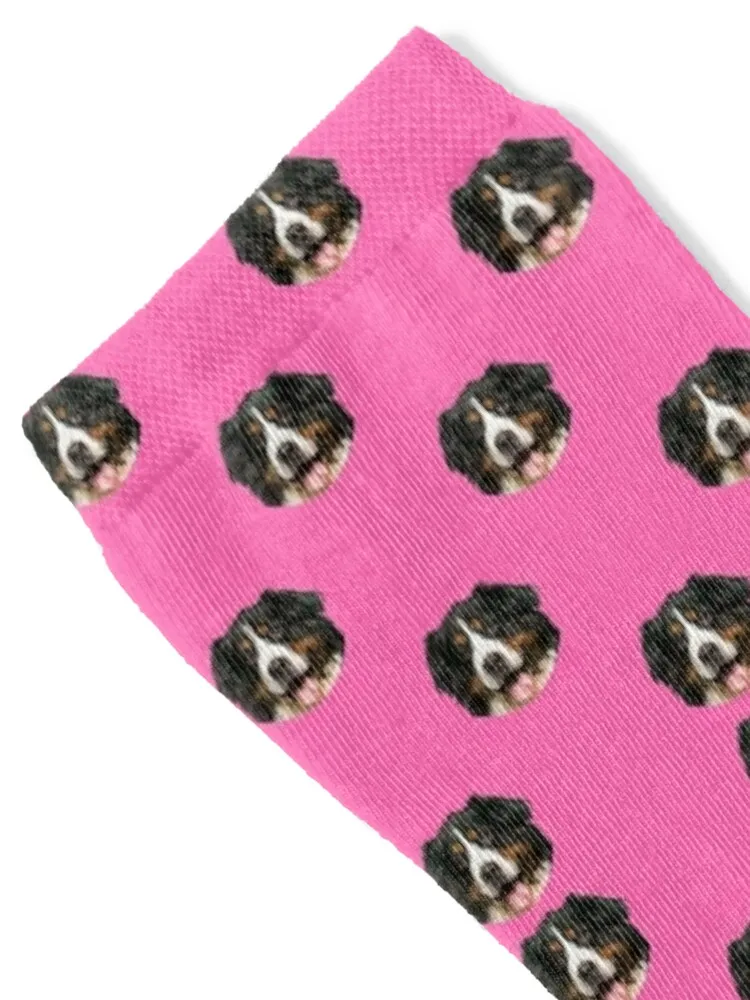 funny bernese mountain dog face Socks hip hop Running snow kids Mens Socks Women's