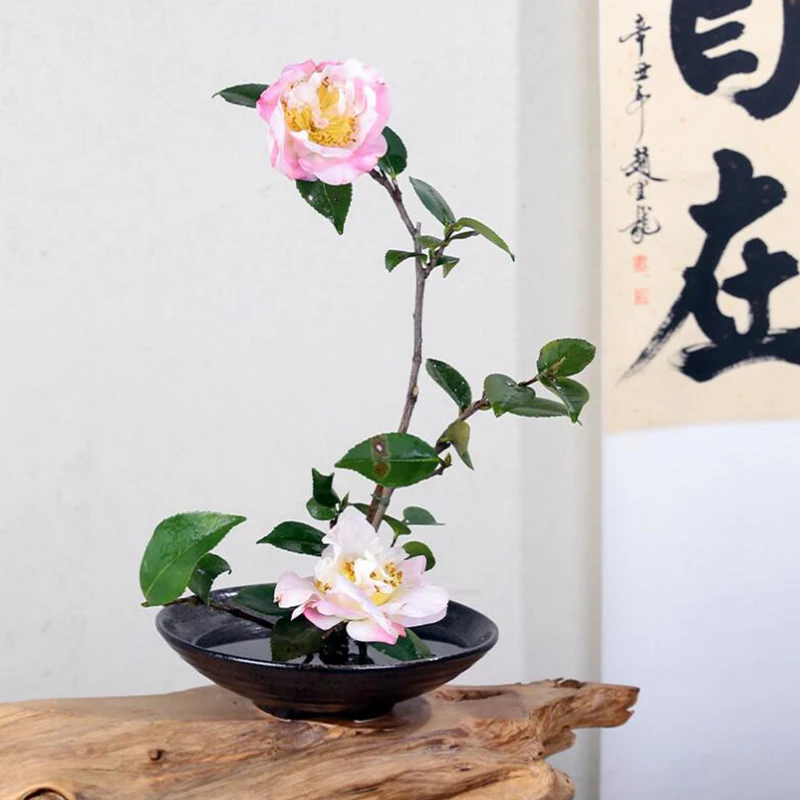 Japanische Frosch vase Keramik – Ikebana Vase Kenzan Bewertung und Preis
