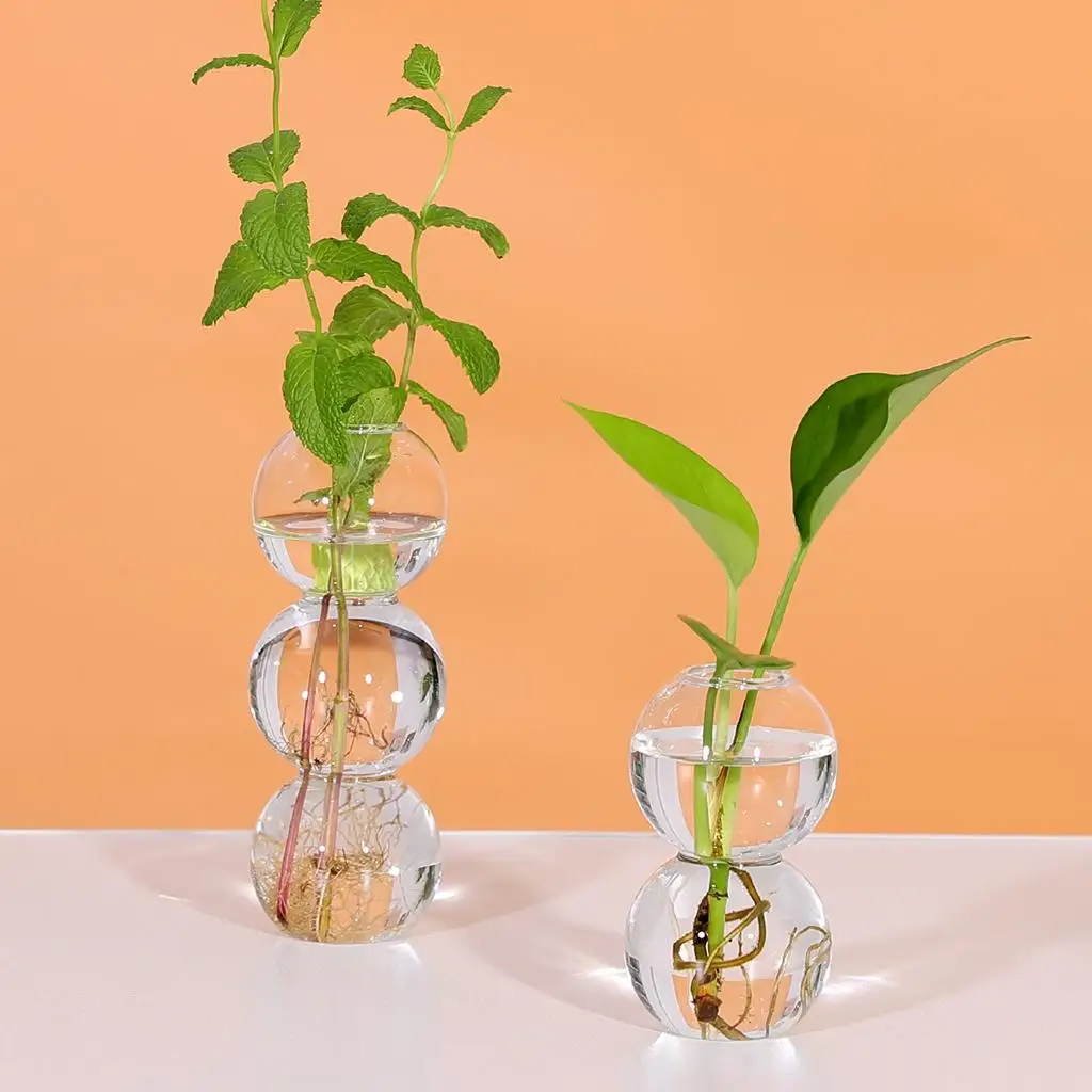 Borosilicate Glass Bubble Vase for Desktop Flowers Hydroponic Plant Terrarium Clear Decorative Container Home Office Art Table