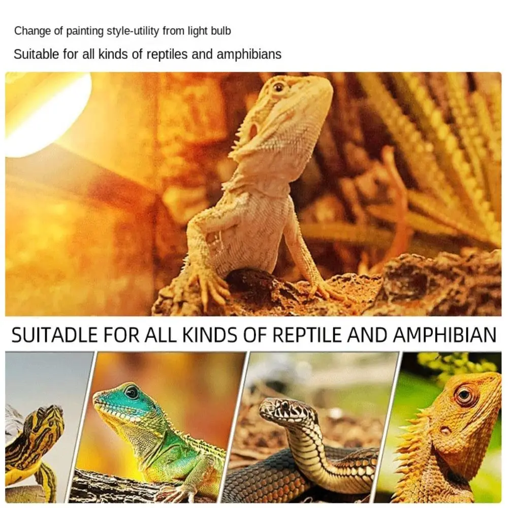 Home reptile heating spotlight GU10 dimming Minimalist spotlights MR16 spot lamps Halogen lamp cup Reptile heating