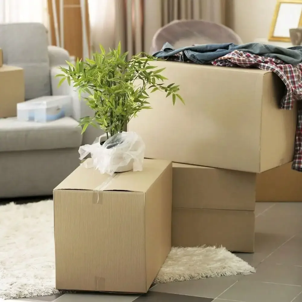 صناديق مموجة طويلة مقاس 17 × 6 × 6 بوصة، صناديق شحن بنية ECT-32 25/حزمة