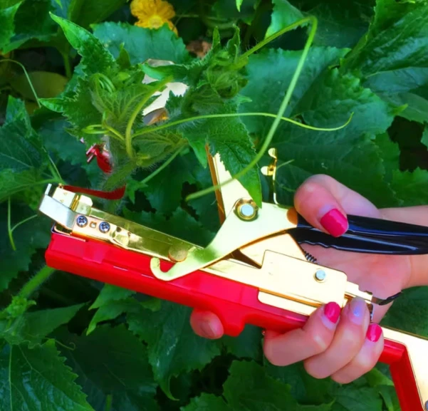 2025년형 채소 타페툴 가지 자동 묶는 기계, 덩굴 묶는 기계