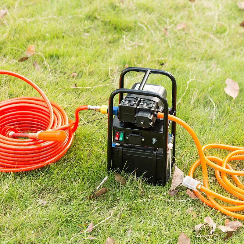 Agricultural Electric Sprayer Intelligent High Pressure Small Multi-function Double Pump Fight Drugs Spray Machine Charging