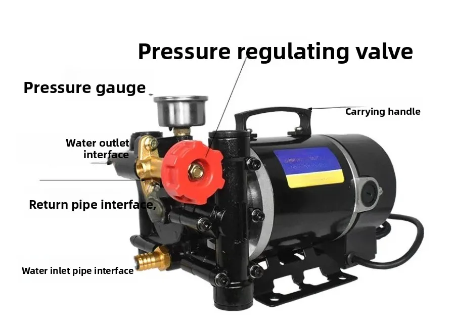 Portable sprayer Agricultural electric fruit tree sprayer 12v60v24v220v double cylinder plunger pump