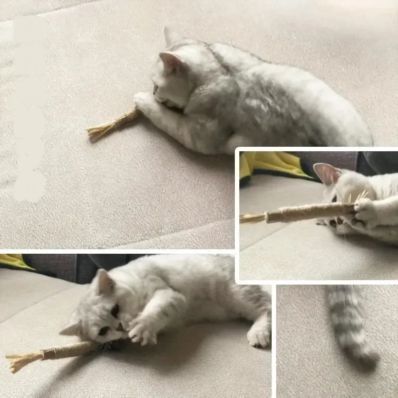 Raffia Chew Toy para Gatos, Silvervine Mastigar Vara, Kitty Polygonum, Grama, Pet Supplies, 1 Pc, Brinquedo De Mordida Do Gato, Limpeza De Dentes