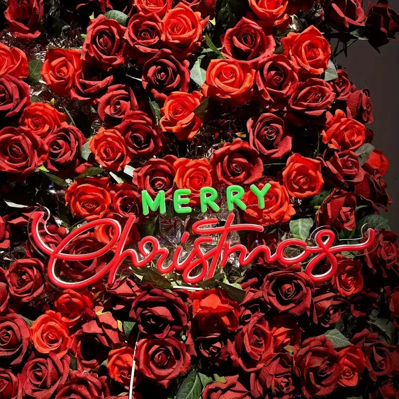 Merry Christmas Neon Sign Festive Wall Hanging Plastic 5/12V USB Powered Switch Control Multi-Purpose Holiday Lighting Decor