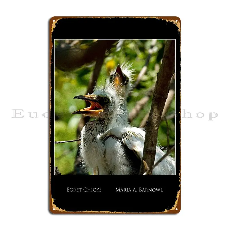 Egret Chicks Cool Stuff Metal Sign Personalized Garage Garage Customize Cinema Tin Sign Poster