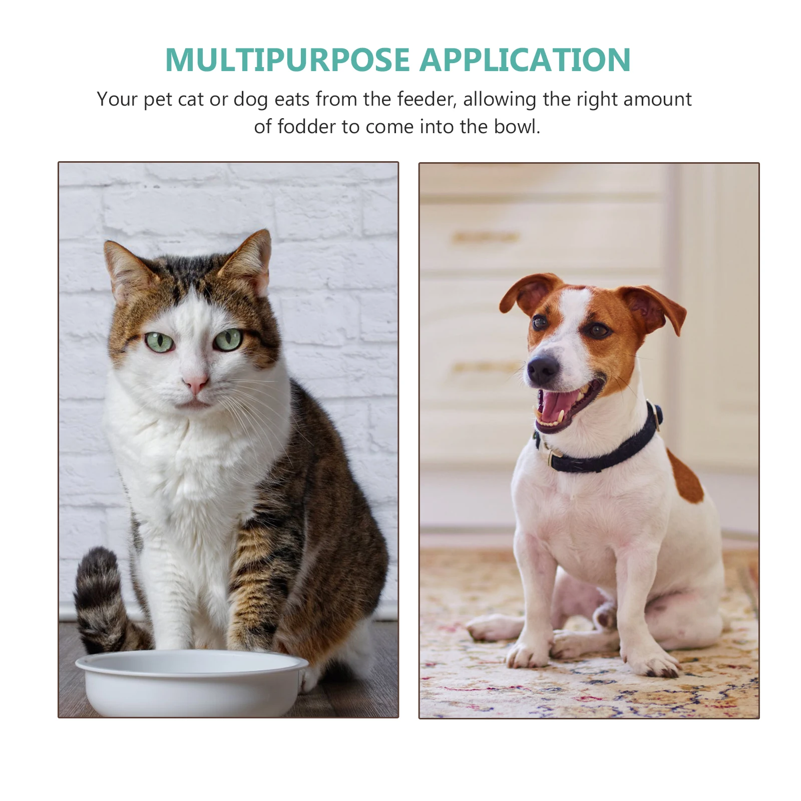 

Automatic Feeder For Cats Dogs Light Green Durable Plastic Pet Feeding Device Shatterproof Food Container Bpa-Free Pp