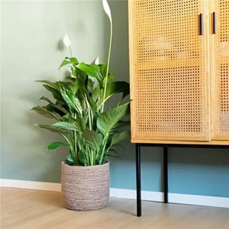 A68P-Seagrass Flower Pot - Woven Plant Pot - Decorative Plant Basket With Plastic Film Insert In Boho Style