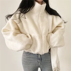 Vertical Collar Short Sweater Women Autumn and Winter fleece-lined Thickened Loose ins  Lamb Velvet Cardigan Zipper Jacket