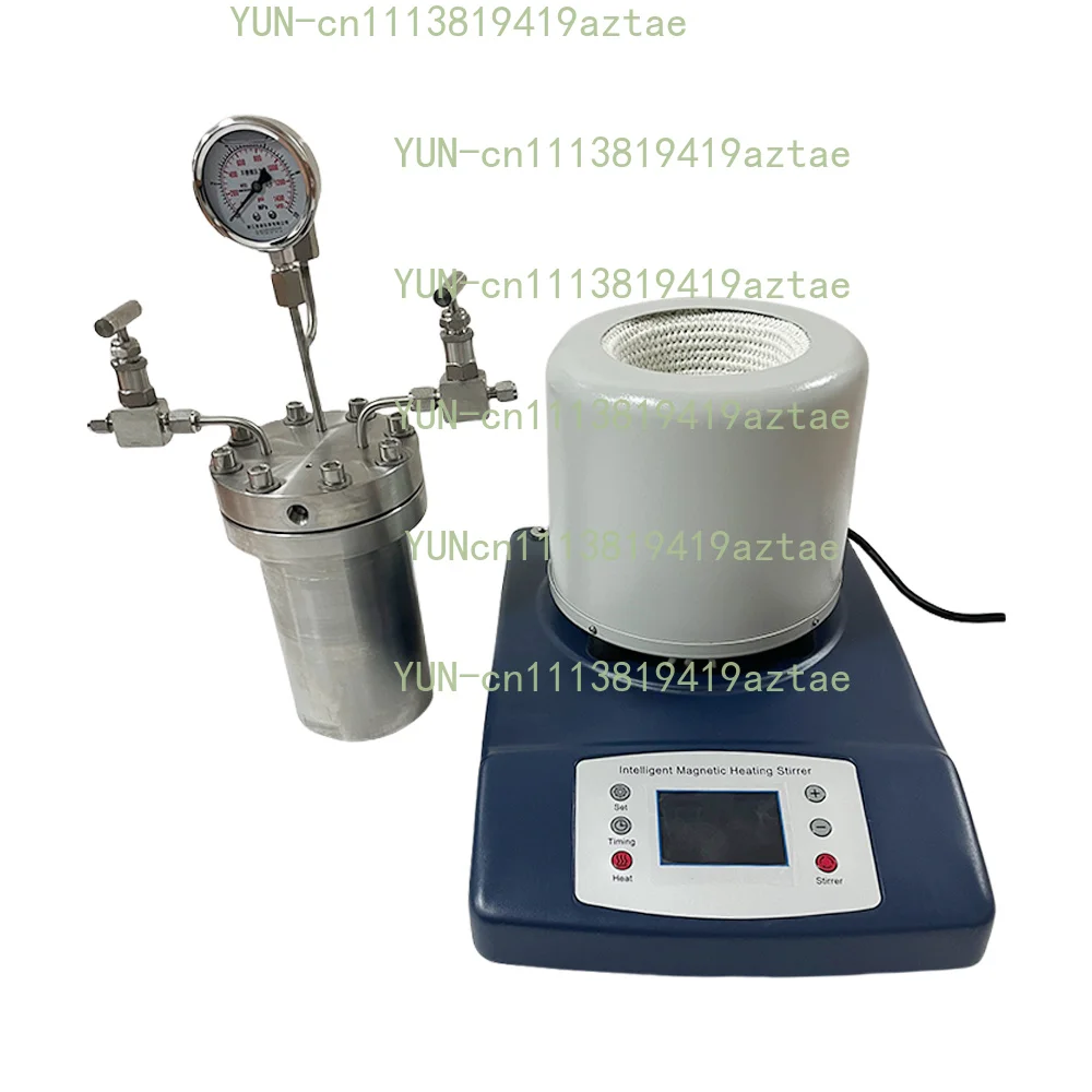 High Pressure Temperature Autoclave Reactor 25-500ml Magnetic Stirrer Customizable Top Quality