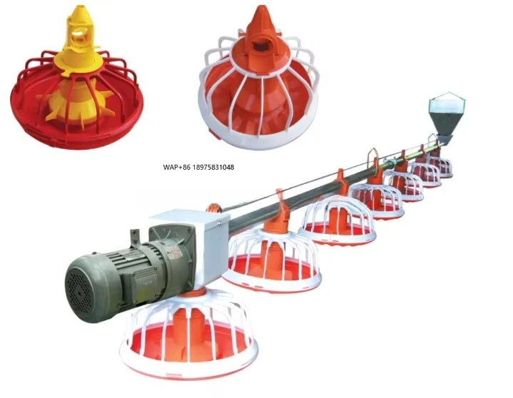 

Chicken Floor Feeding Poultry Breeding Equipment Broiler Farm Automatic Poultry Feeding Line System