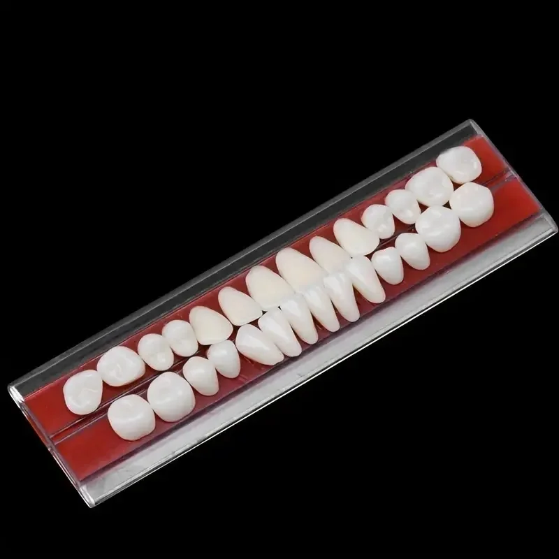28pcs/Set Resin Teeth Materials Colors Shade Guide Teeth Oral Material Resin Teeth Model