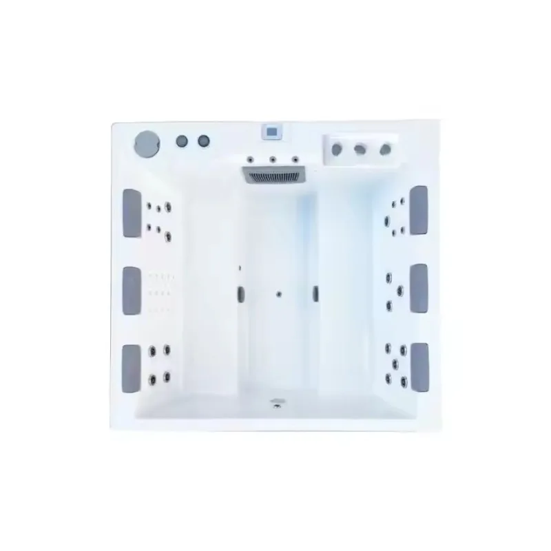 6 Person Outdoor Swim Spa Pool Hydro Massage Hot Tub