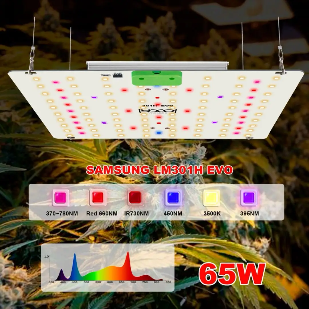 65W LED Grow Light Dimmable LED Plant Lights With LM301H evo Diodes Commercial Hydroponic Growing Lamp 3x4ft Core Coverage