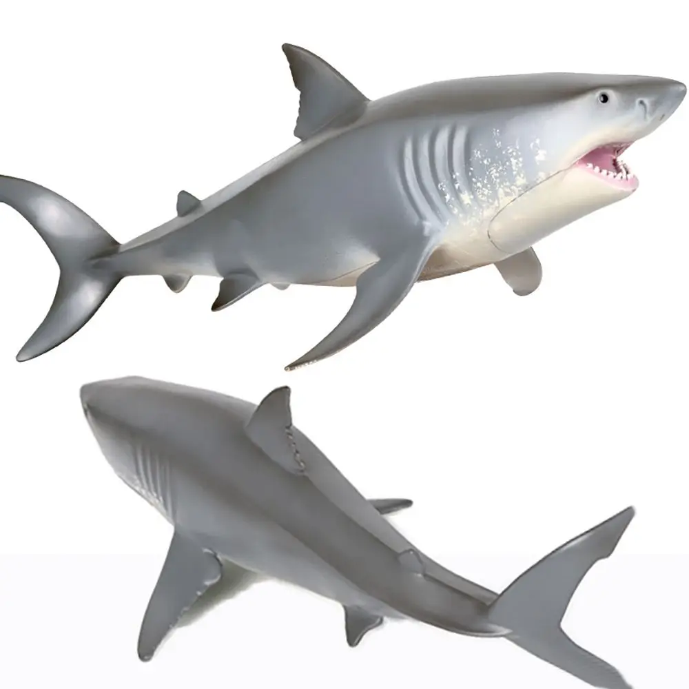 Realistic Science  Cognition Simulation Sealife Great White Shark Models Early Learning Marine Organism Figurines