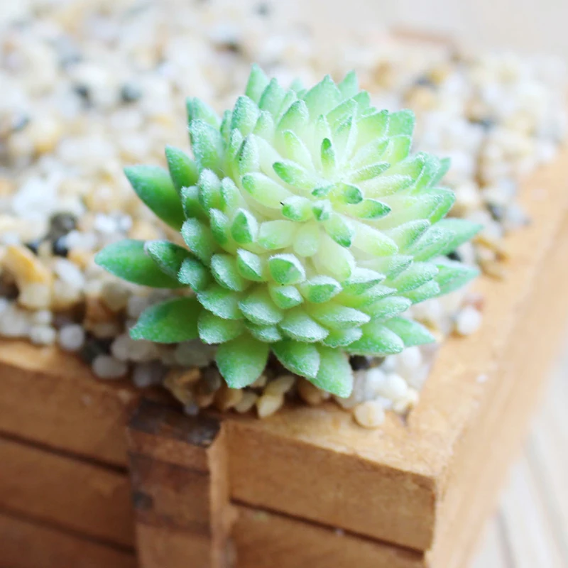 Artifical Plastic Succulent Plant Cactus Echeveria Flower Home  Garden Office Decor Gift Creative Accessories Craft Ornaments