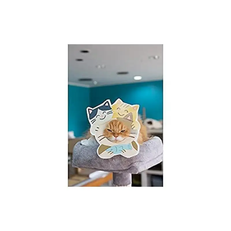 Mugitto Nya Special Hameko With A Hamekocoloring Sheet Nyanko LOVE Committee Takarajima 9784299016713 Book