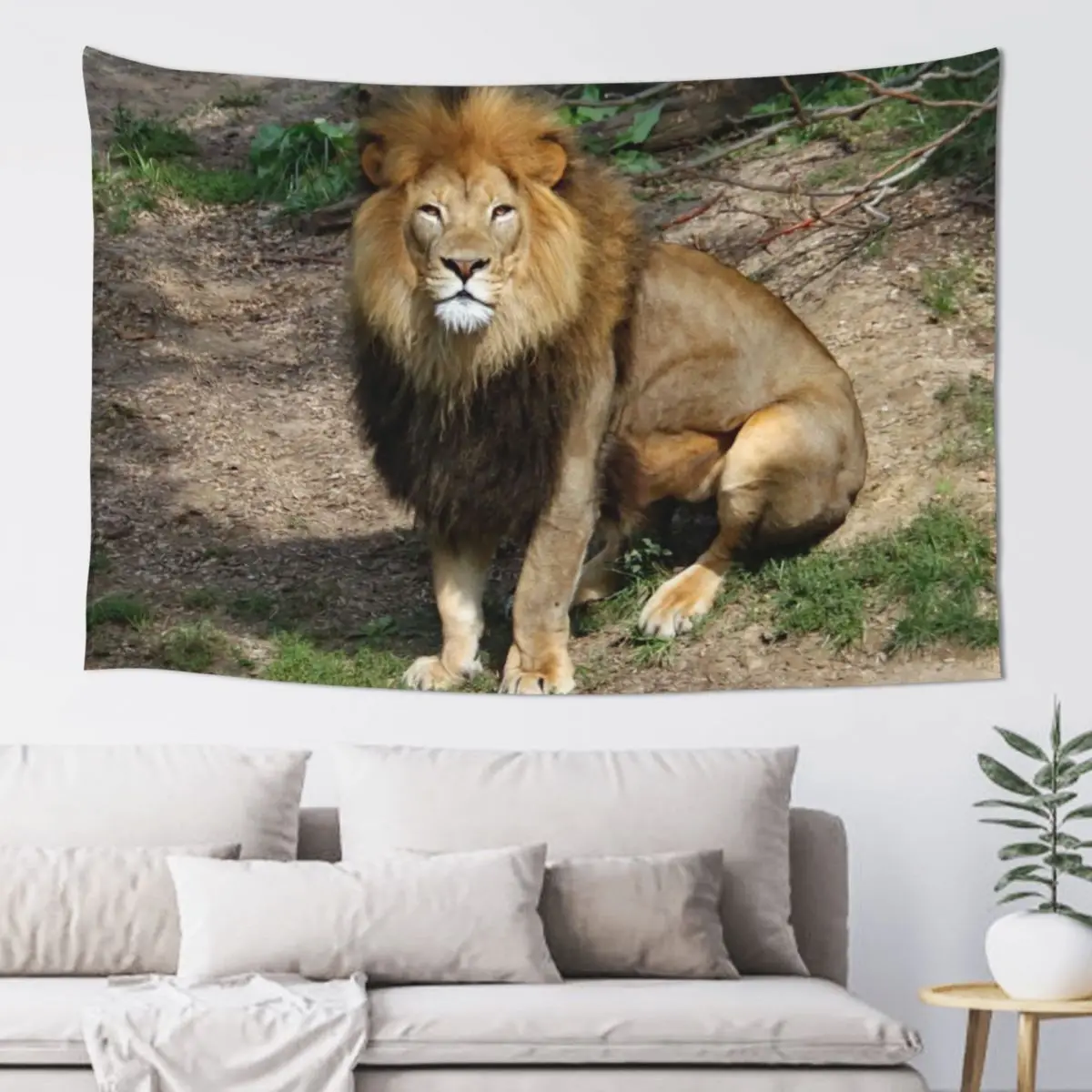 

Lion 6913 Tapestry Outdoor Decor Aesthetic Decoration Room Aesthetic Decor Home Decor Aesthetic Tapestry