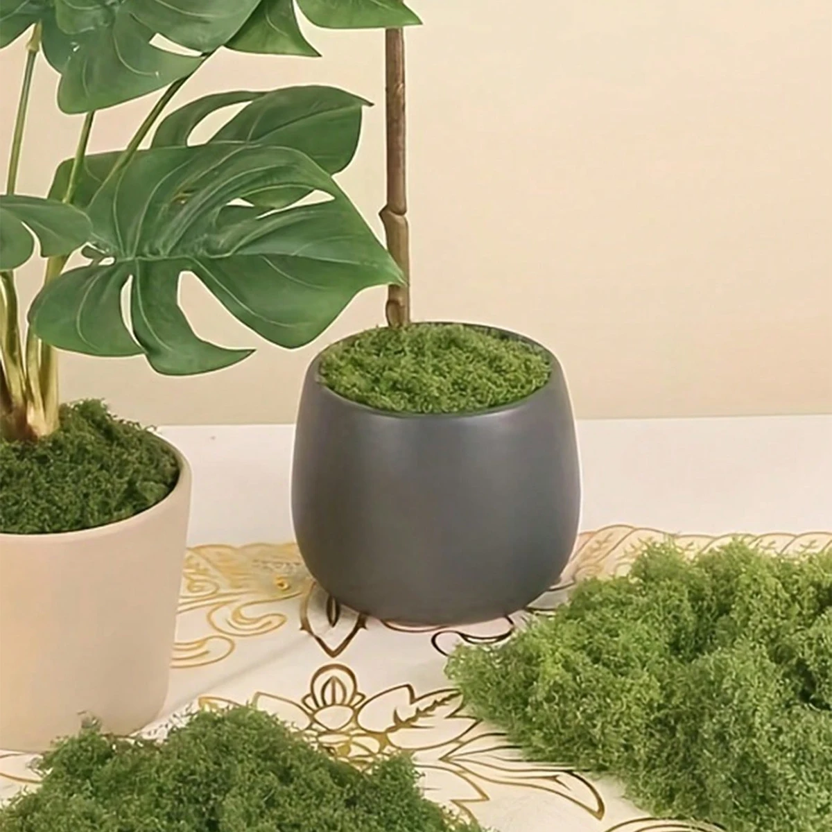 250 g de decoraciones de musgo - Bonsai Garden Layout reseña y precio