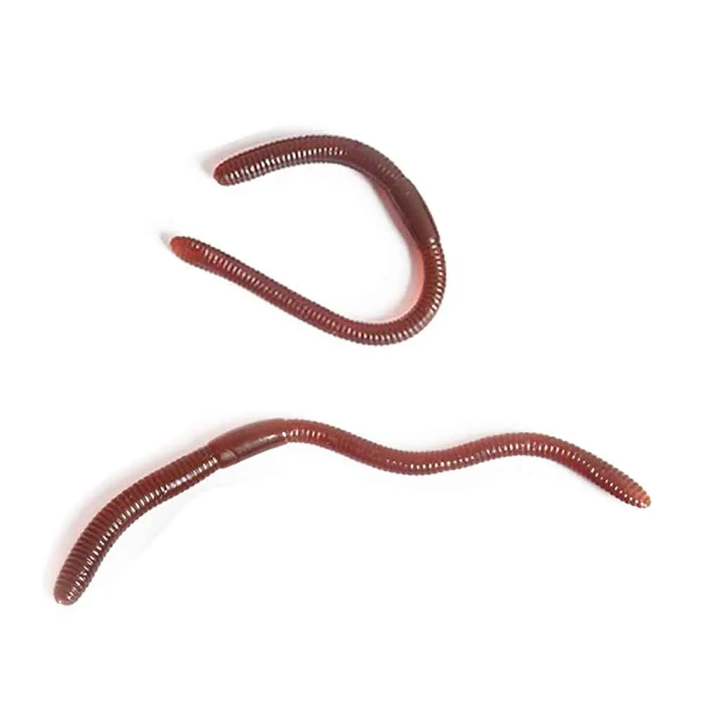 

20 Pcs Simulation Earthworm Plastic Lifelike Worm Soft Stretchy Rubber Earthworms Trick Toy For Halloween Party