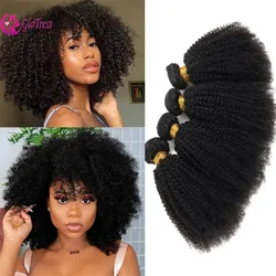 Afro Kinky Curly Bundles Human Hair  10-22 Inches 100g Brazilian Remy Virgin Hair Bundles for Women Natural Black 1Pc